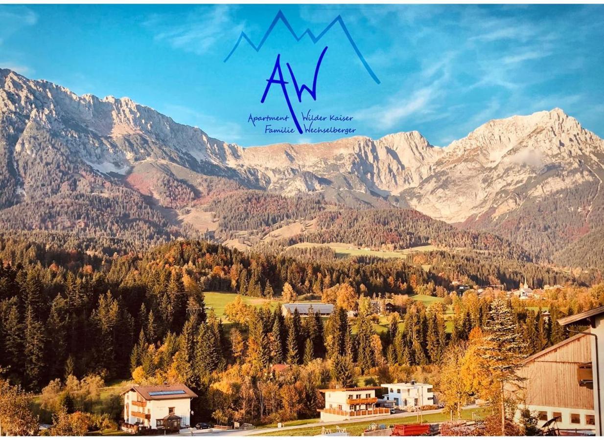 Aw - Apartment Wilder Kaiser Scheffau am Wilden Kaiser Buitenkant foto